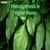 Photosynthesis in Higher Plants: Overview, Topics, MCQs, Books, Tips